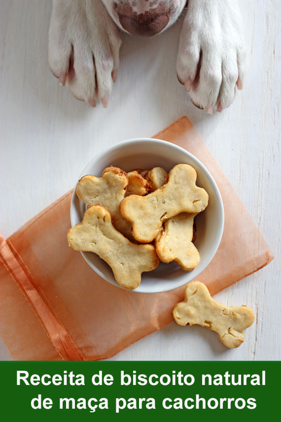 Receita de biscoito natural de maça para cachorros