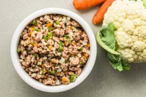 Alimentação Natural para Cães: Benefícios e Como Começar