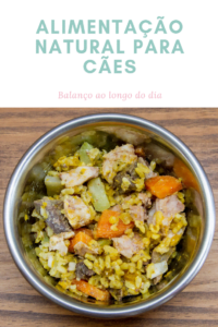 3 regras básicas de alimentação natural para cães