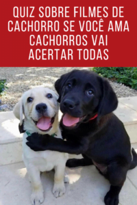 Quiz sobre filmes de cachorros - se você ama cachorros vai acertar todas
