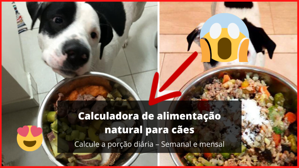 Calculadora de alimentação natural para cães