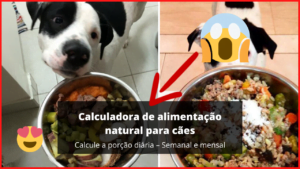Calculadora de alimentação natural para cães - Calcule a porção diária - Semanal e mensal