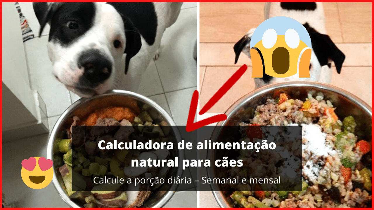 Calculadora de alimentação natural para cães - Calcule a porção diária - Semanal e mensal
