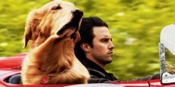 10 filmes de cachorros para assistir na quarentena