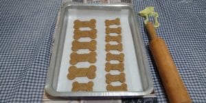 Receita de Biscoito para cachorros de sardinha com aveia
