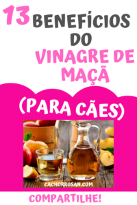 13 BENEFÍCIOS DO VINAGRE DE MAÇÃ PARA CÃES