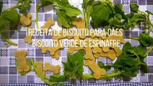 Receita de biscoito para cães - Biscoito verde de espinafre