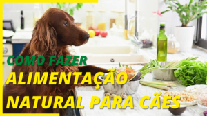 Como fazer alimentação natural para cães