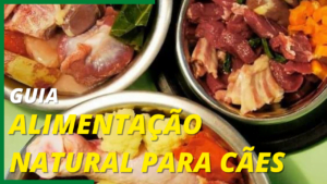 Guia de alimentação natural para cães