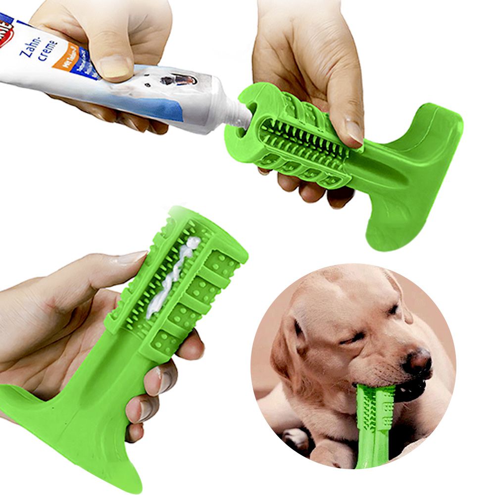 escova de dentes de cachorro