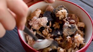 Receitas de alimentação natural para cães