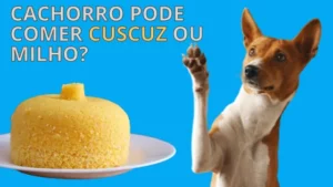 Cachorro Pode Comer Cuscuz: Descubra se É Seguro para Seu Pet