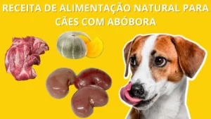 Receita fácil de alimentação natural para cães com abóbora: melhore a saúde do seu cão agora!
