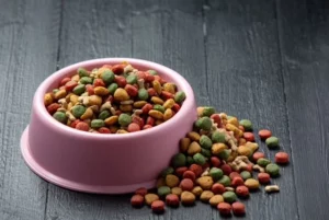 Perigo - Corantes artificiais em rações de cachorro