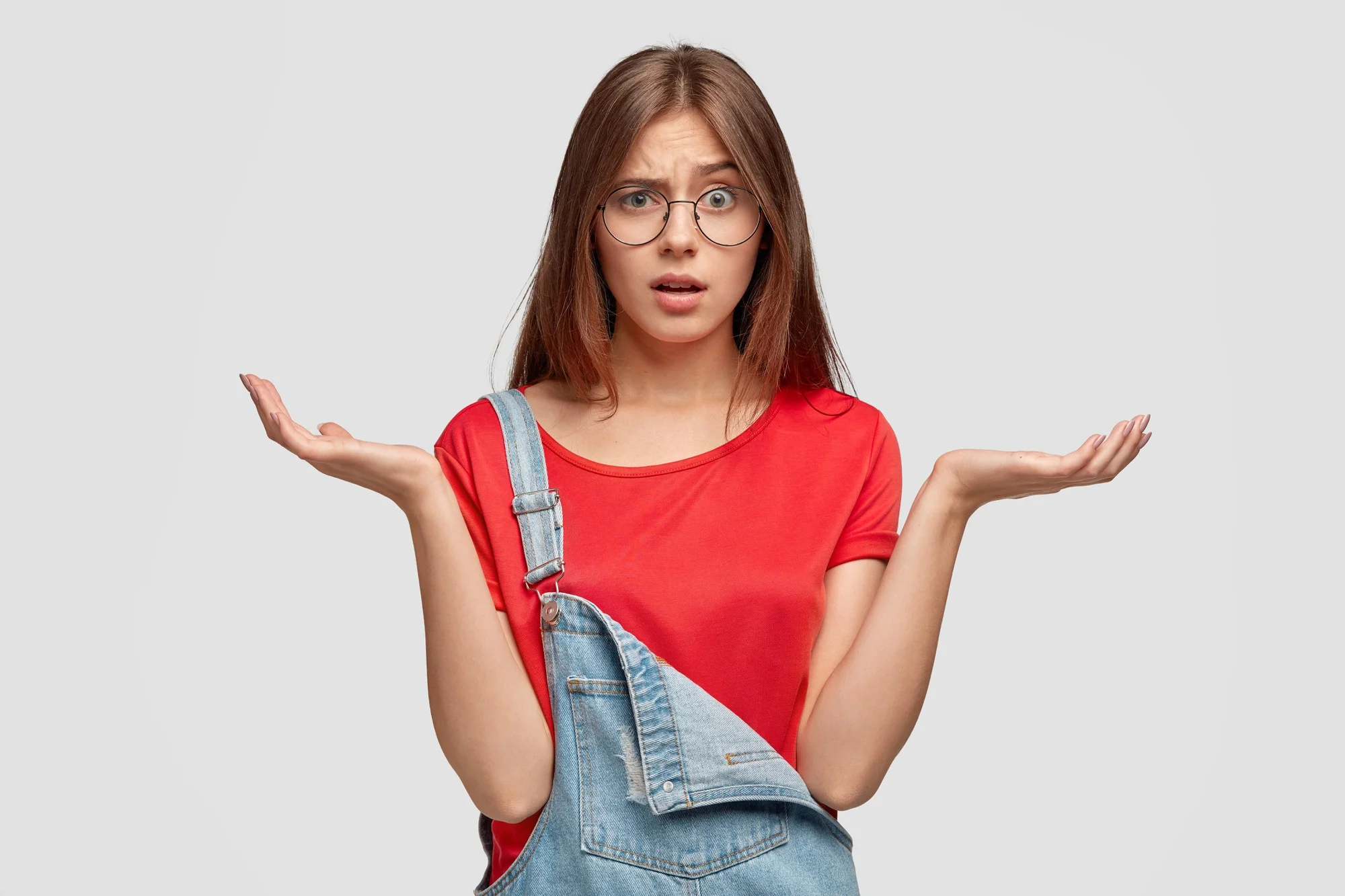 Mitos sobre alimentação natural para cães