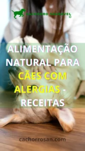 Alimentação Natural para Cães com Alergias -  Receitas