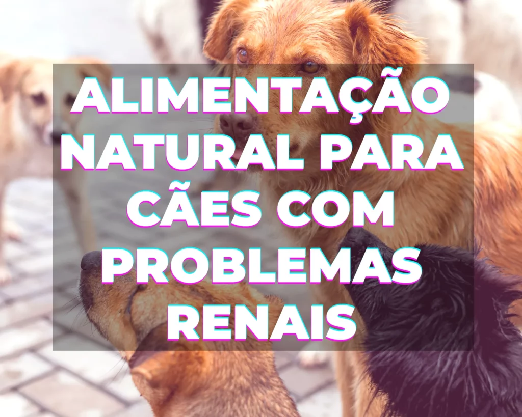 Alimentação Natural para Cães com Problemas Renais