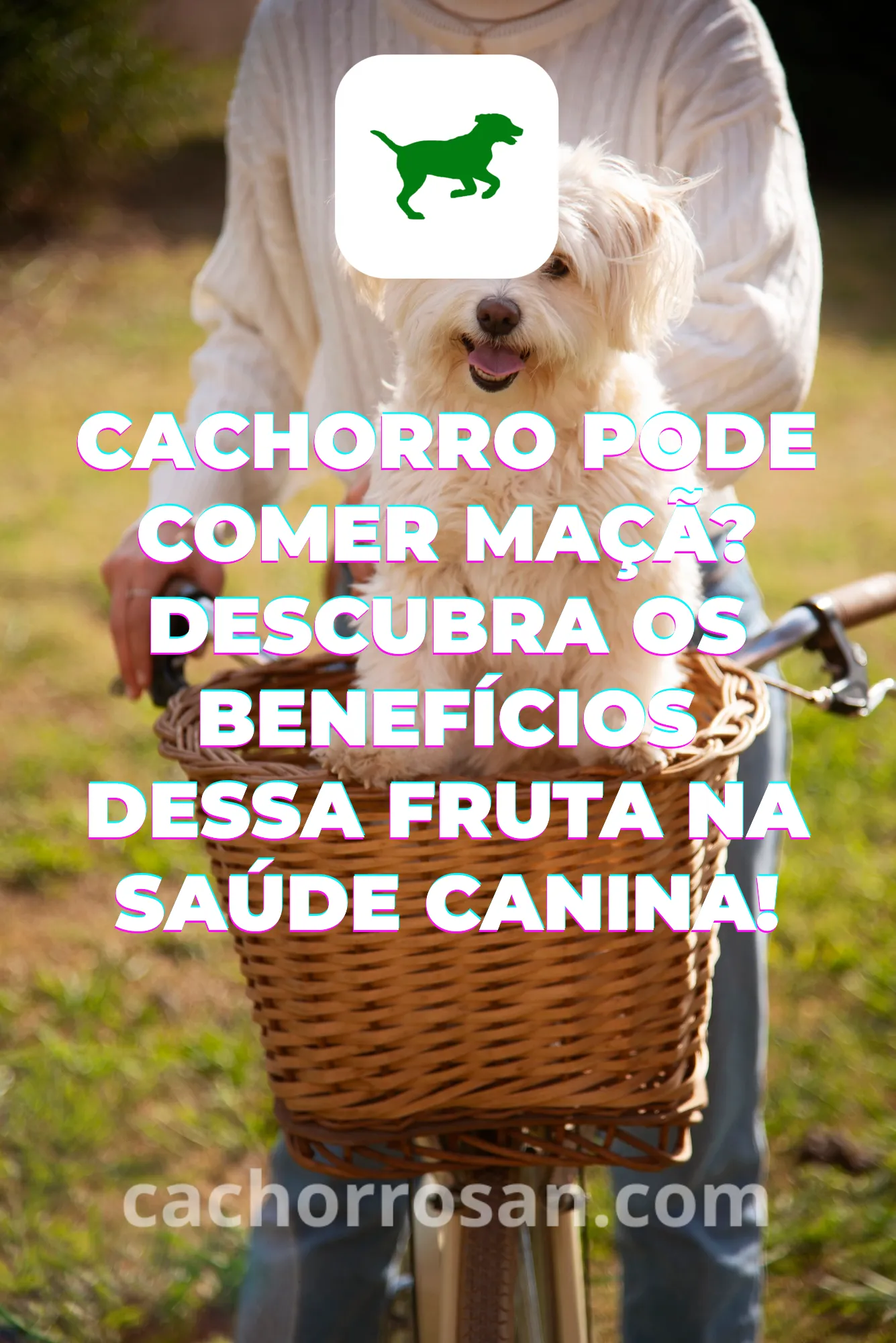 Cachorro Pode Comer Maçã? Descubra os Benefícios dessa Fruta na Saúde Canina!
