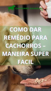 Como dar remédio para cachorros - Maneira Super facil