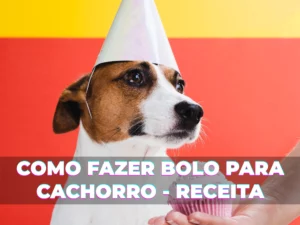 Como fazer bolo para cachorro - Receita