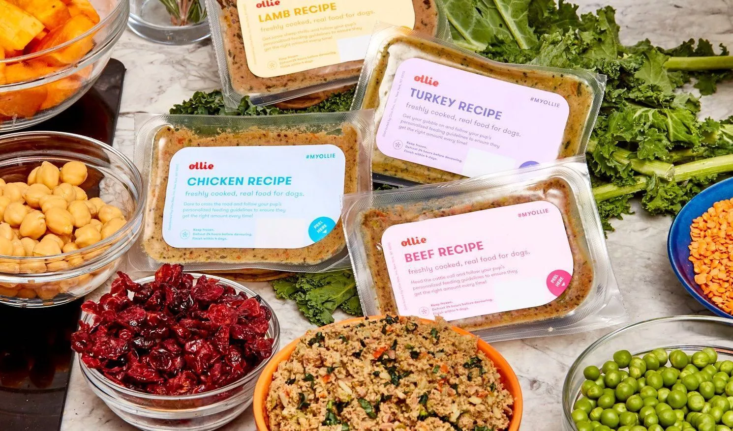 Dieta Cozida para Cães: Nutrição Natural e Saúde Garantida