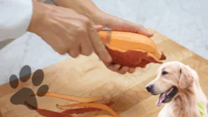 Receita de Comida de Cachorro com Salmão e Batata-Doce