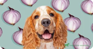 Cachorro Pode Comer Cebola? Descubra se é Seguro