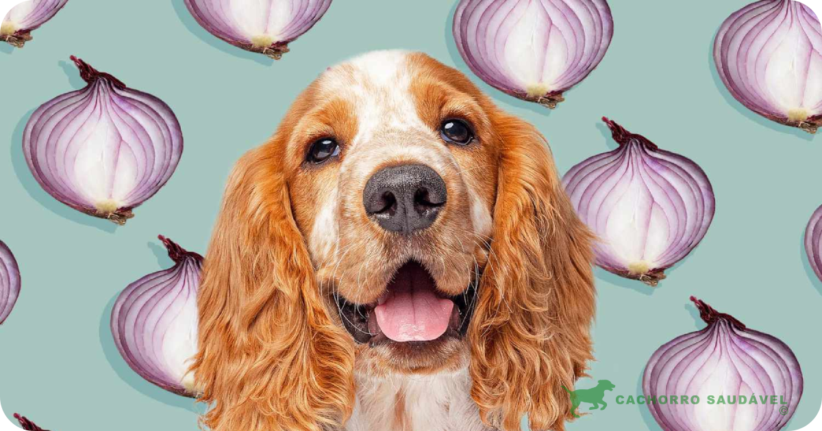 Cachorro Pode Comer Cebola? Descubra se é Seguro