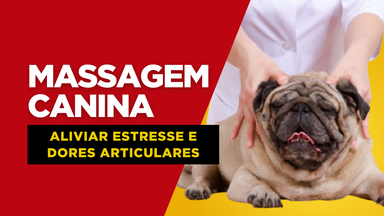Massagem Canina: Técnicas para Aliviar Estresse e Dores Articulares