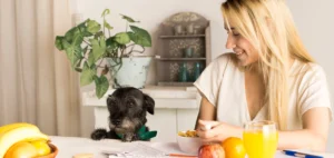 Quais Frutas Cachorros Podem Comer? Descubra as Melhores Opções