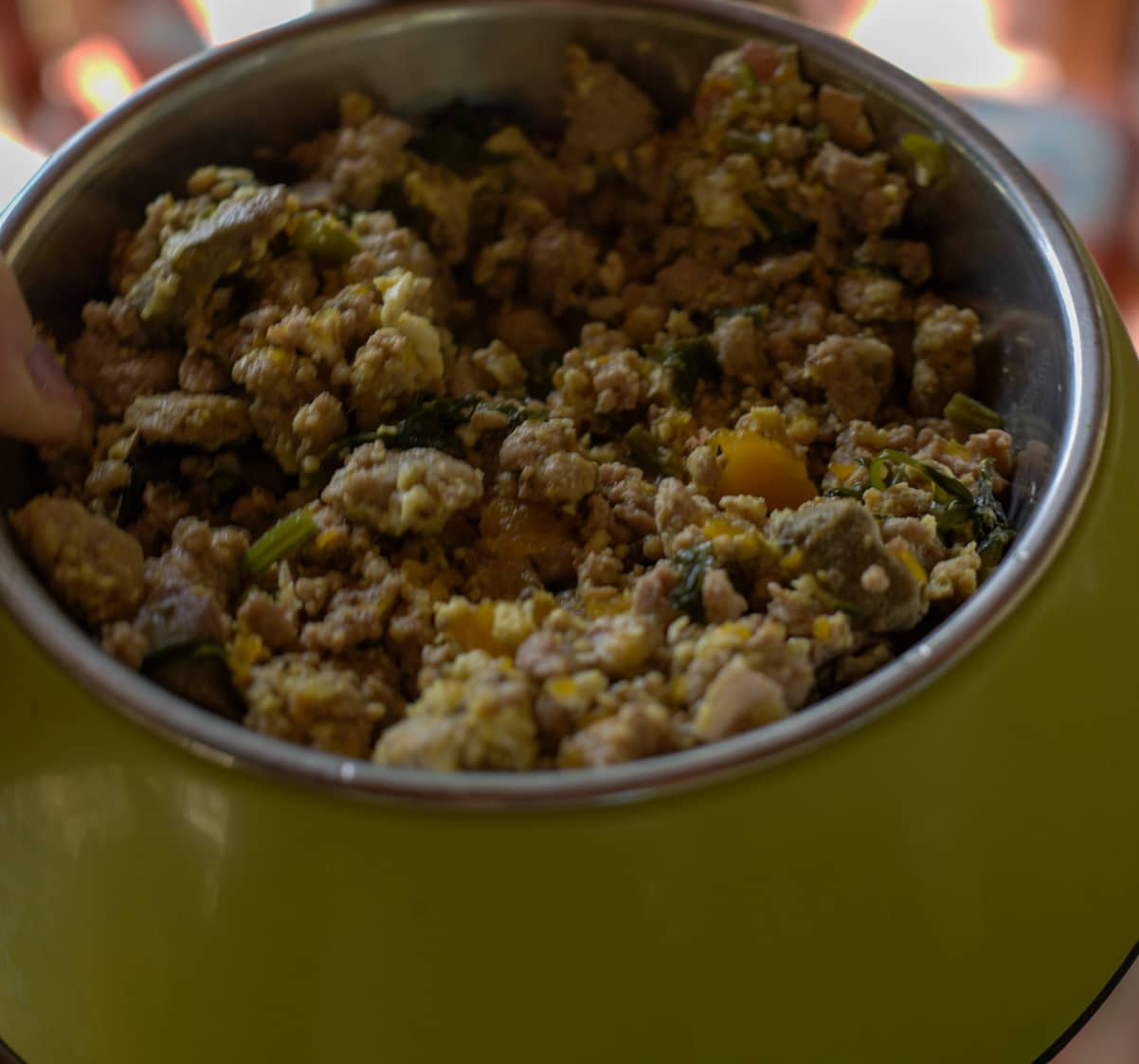 Cães podem comer carne de porco cozida?