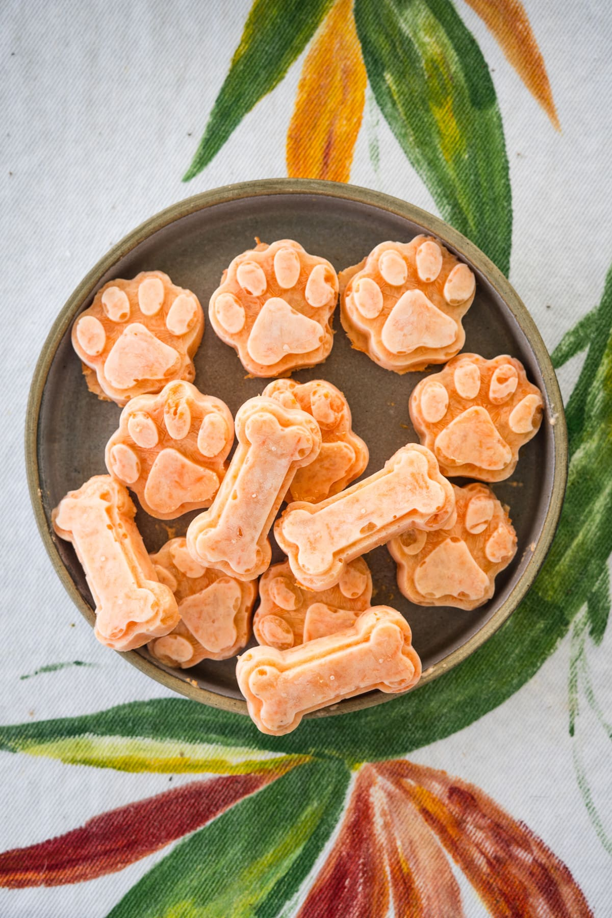 Petiscos congelados de maçã e cenoura para cães