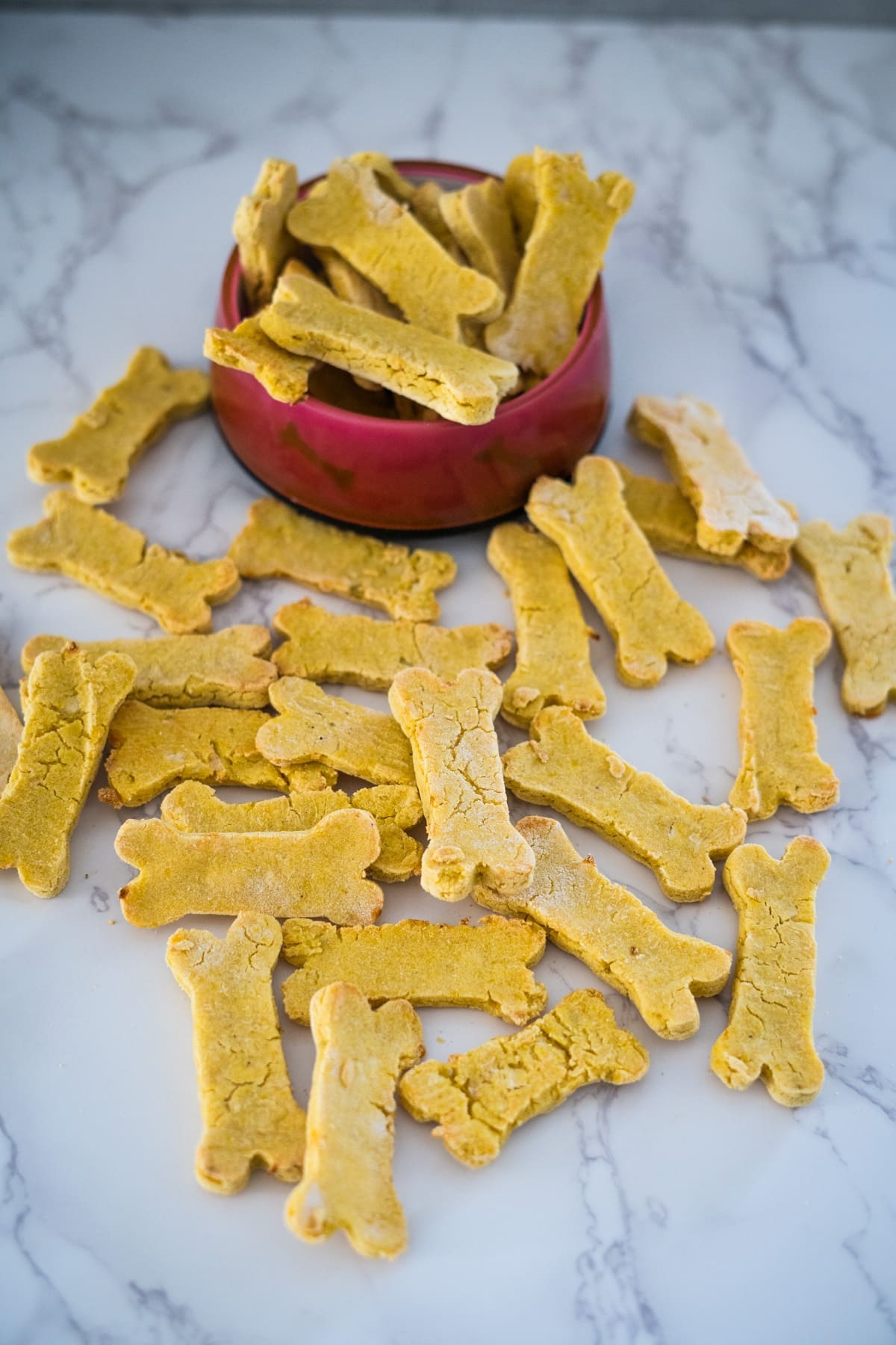 Petiscos de maçã e abóbora para cães